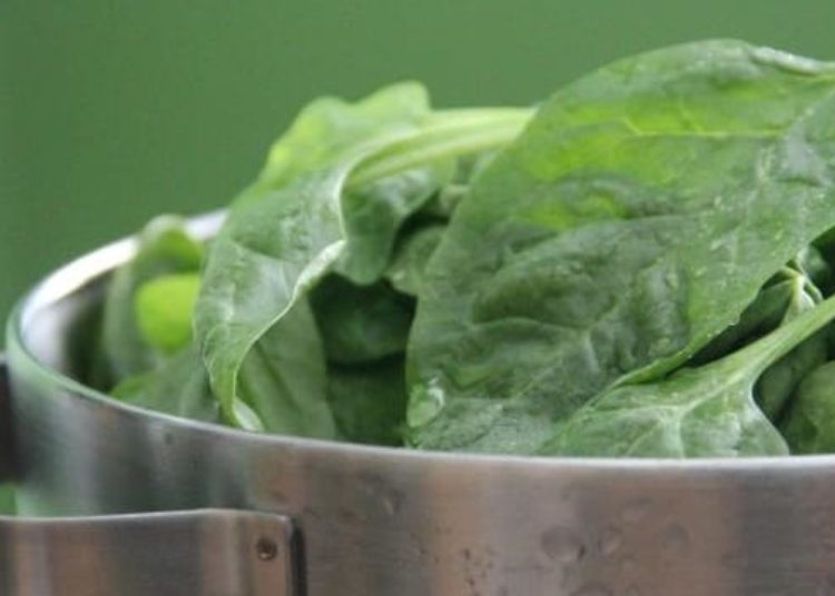 Federal nutrition program does not increase childhood obesity risk