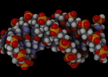 Circulating tumor DNA used to monitor metastatic breast cancer
