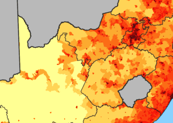 Economic incentives alter nutritional patterns in South Africa