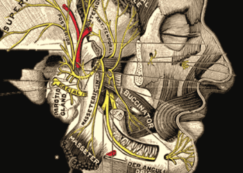 MRI evidence of disc herniation is not predictive of clinical outcome in sciatica