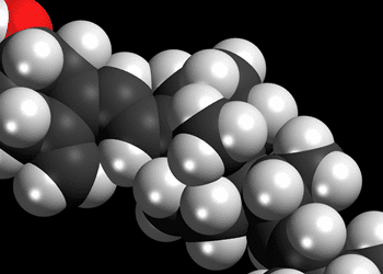 Maternal vitamin D status does not affect offspring’s bone-mineral content