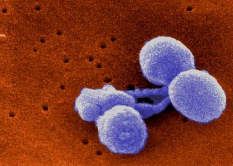 Childhood meningitis linked with lower educational achievement