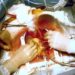 Coronary bypass survival benefits shine in high-risk patients