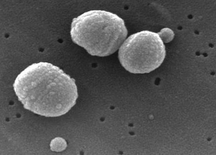 Quality improvement methods increase adherence to pediatric pneumonia treatment guidelines