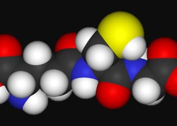 Glutamine and antioxidant supplementation provide no benefit for critically-ill patients