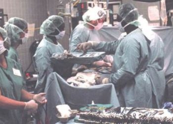 High rate of hernia recurrence with biologic mesh repair