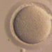 Patient centeredness poor predictor of fertility care dropout