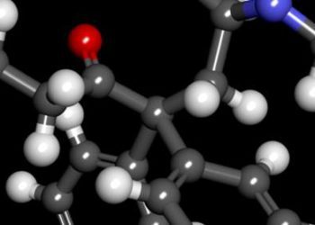 Genetic mutations may protect infants born to drug-using mothers