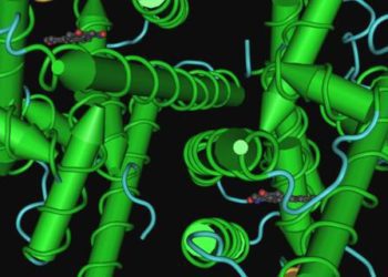 Selective estrogen receptor modulators reduce breast cancer risk even after treatment