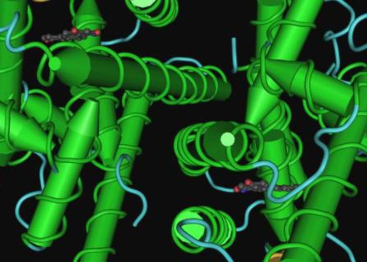 Selective estrogen receptor modulators reduce breast cancer risk even after treatment