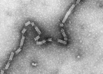 On-demand inhalation treatment for bronchiolitis is superior to fixed schedule treatment