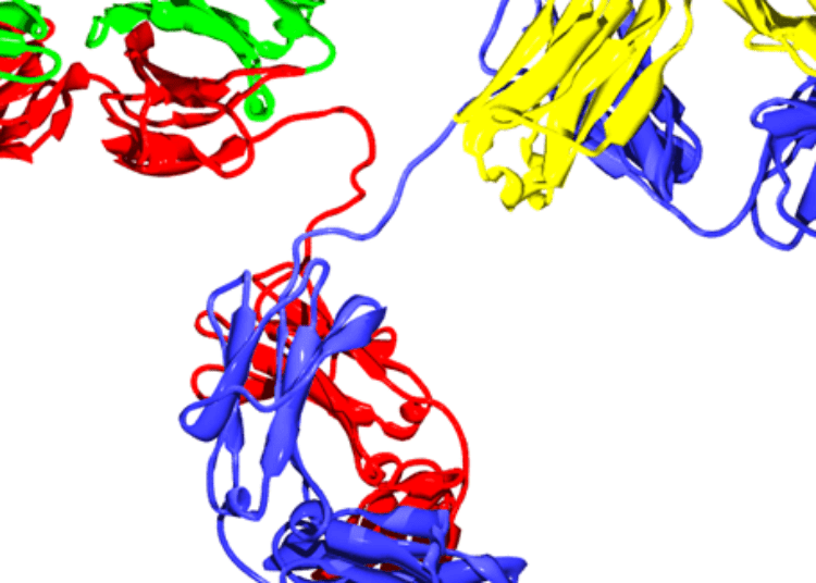 Age and number of islet autoantibodies associated with diabetes risk