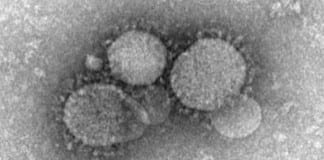 2 Minute Medicine Rewind June 24 – June 30