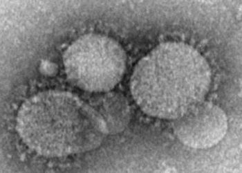 Emerging coronavirus found to spread in healthcare facilities