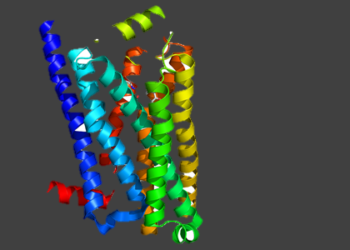 New mutations behind heritable hypercalcemia and hypocalcemia identified