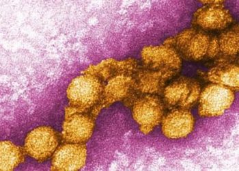 2 Minute Medicine Rewind: July 15 – July 21, 2013