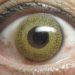 Blindness and visual impairment decreasing worldwide