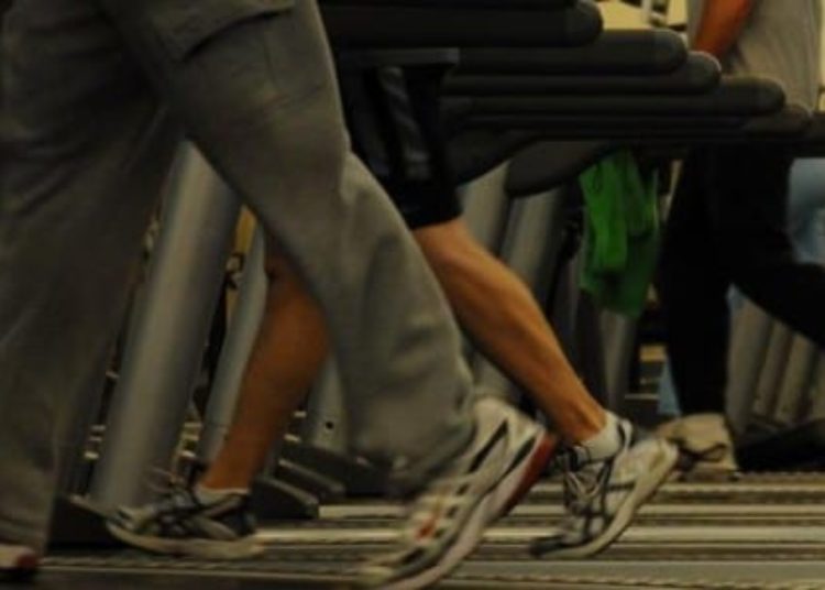 Limited cardiovascular effect of diet and exercise in obese type II diabetics