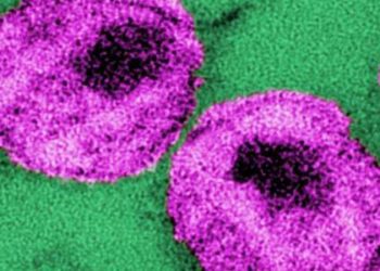 Among HIV-positive infants, early protease inhibitor-based treatment effective