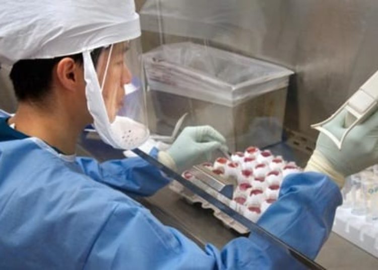 Flu vaccine not associated with adverse pregnancy outcomes