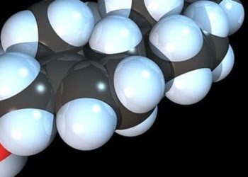 Low circulating cholesterol in neonates linked with pyloric stenosis