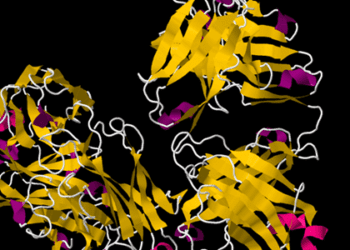 Rituximab noninferior to conventional therapy in ANCA-associated vasculitis: RAVE Trial
