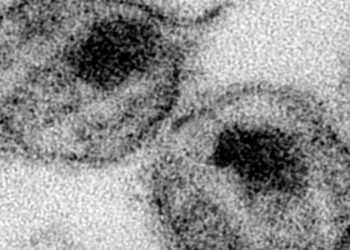 Peer-delivered education through social networking increases home-based HIV testing