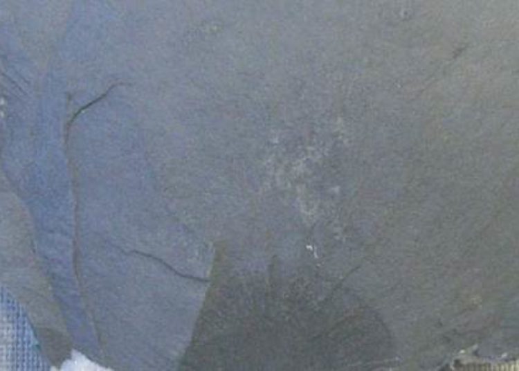 Arsenic exposure linked with cardiovascular disease and mortality
