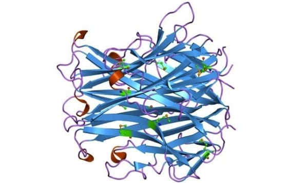 PDB_1iqa_EBI