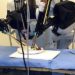 Single-site robotic cholecystectomy is safe, but technically challenging