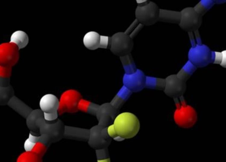 Adjuvant gemcitabine improves long-term survival rates of patients with pancreatic cancer