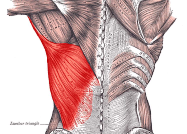 Latissimus dorsi tendon transfer are effective long-term