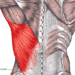 Latissimus dorsi tendon transfer are effective long-term