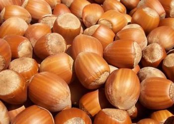 Nut consumption associated with lower overall mortality