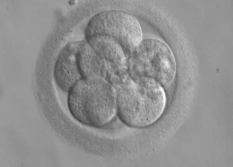 Assisted conception not associated with increased pediatric cancer risk