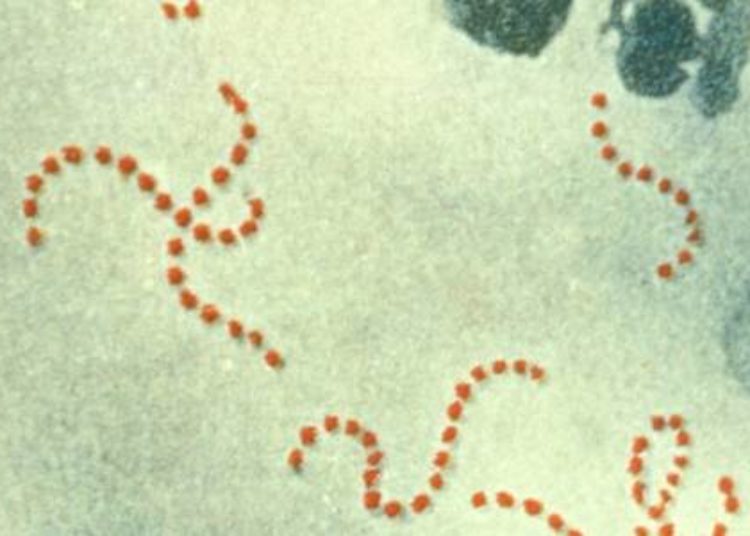 Home scoring system may prevent unnecessary pharyngitis clinic visits