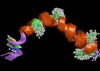 Hypercortisolism of bilateral macronodular adrenal hyperplasia may be corticotropin-dependent