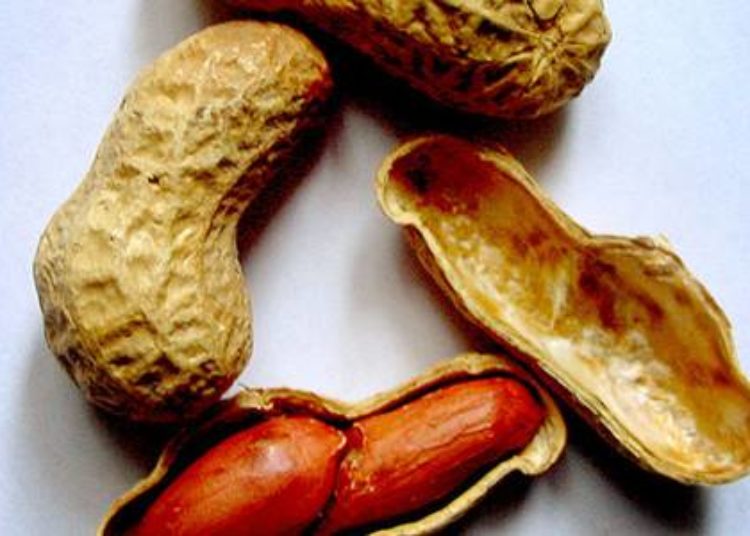 Peripregnancy nut consumption may decrease development of nut allergies