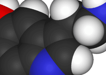 SSRI use during pregnancy not linked to increased risk of autism