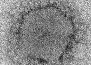 High mortality rates reported in ill patients with MERS-CoV