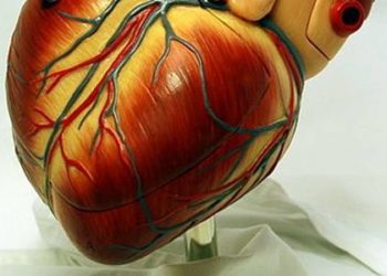 Mediterranean diet linked to reduced diabetes risk in high risk cardiovascular patients