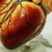 Mediterranean diet linked to reduced diabetes risk in high risk cardiovascular patients