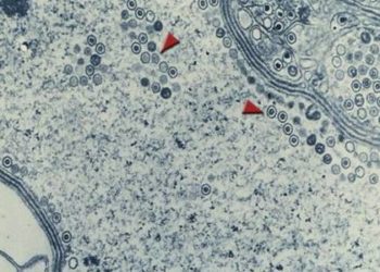 2 Minute Medicine Rewind January 13-19, 2014