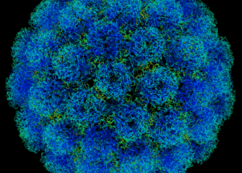 Vaccine protects against hand, foot, and mouth disease in phase 3 trial