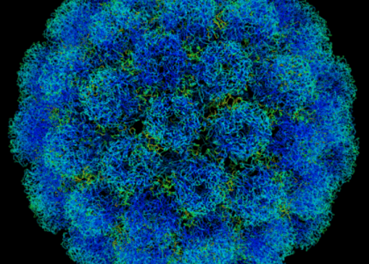 Vaccine protects against hand, foot, and mouth disease in phase 3 trial