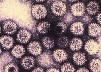 Rotavirus vaccine associated with increased risk of intussusception