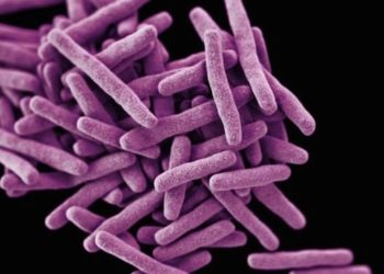 Nationwide treatment regimen more than halves tuberculosis prevalence in China