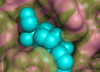 Mutations in PKA catalytic subunit associated with Cushing’s syndrome