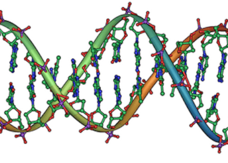 Oophorectomy associated with reduced cancer risk and all-cause mortality for BRCA1/2 patients