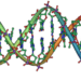 Oophorectomy associated with reduced cancer risk and all-cause mortality for BRCA1/2 patients